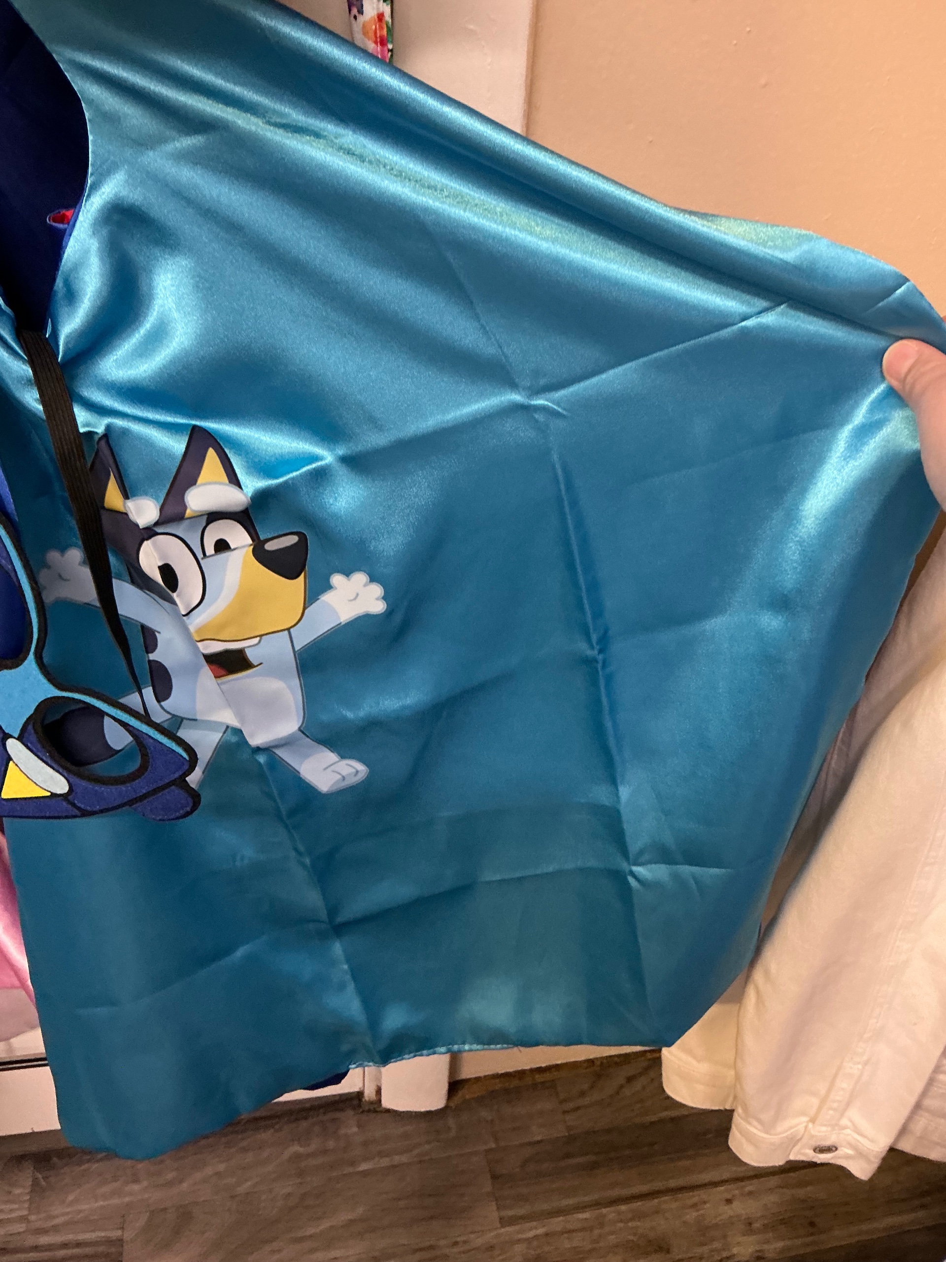 Blue Dog Cape/Mask