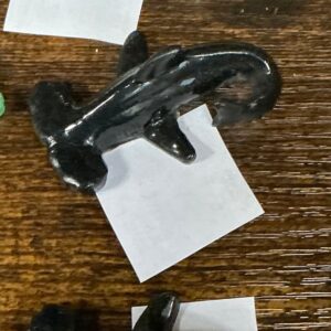 Shark