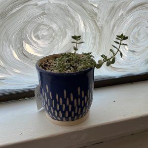 Planter with Plant 1