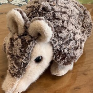 Austin Armadillo